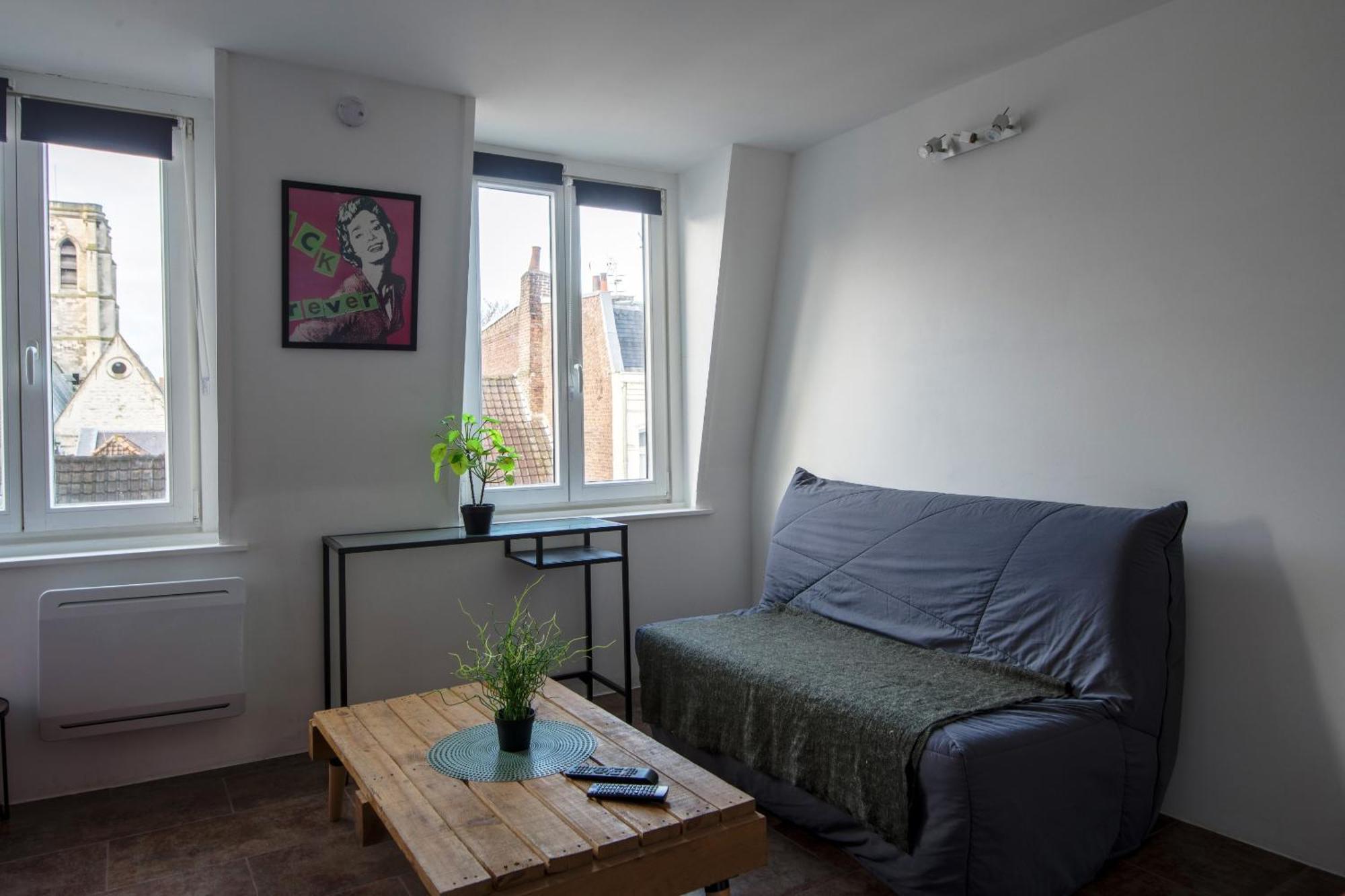 Royale Apartments Vieux Lille 24H24H Access Zewnętrze zdjęcie